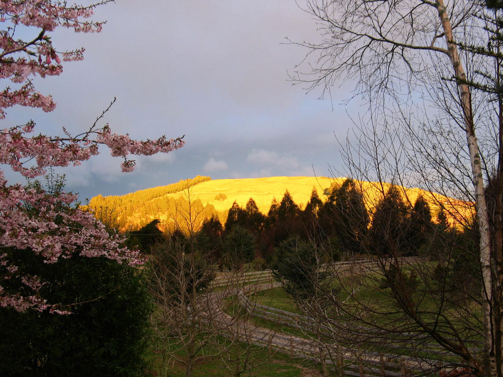 Whakaipo Lodge Taupo Exterior photo